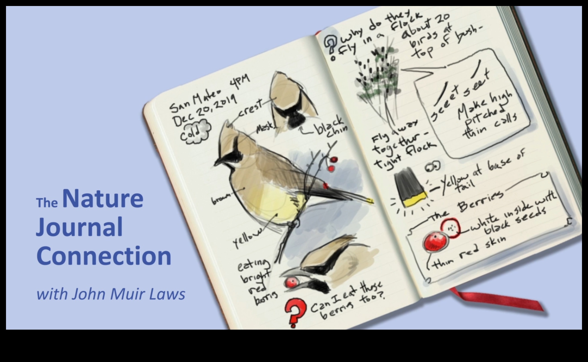 Crafty Kids' Nature Journal: Documenting Outdoor Adventures