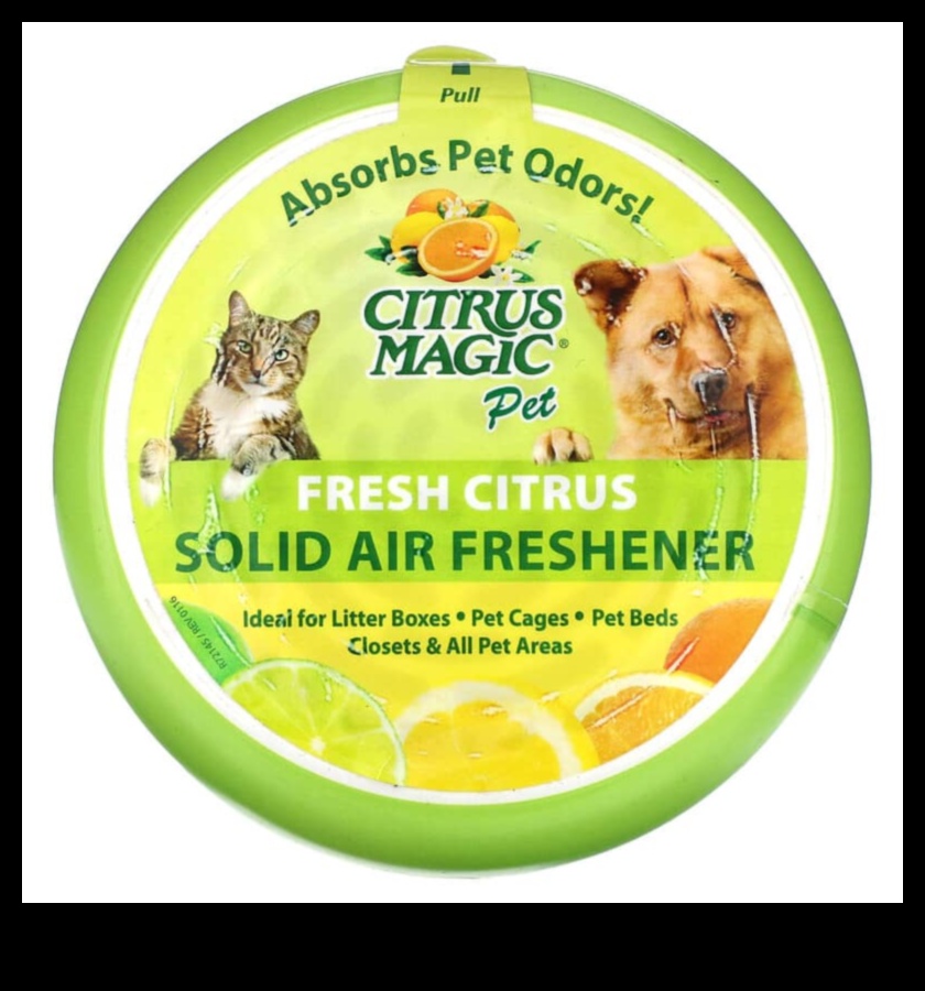 Citrus Magic Μια υγιής δόση βιταμινών, μετάλλων και αντιοξειδωτικών 4 Citrus Magic: Ξεκλειδώνοντας τα μυστικά της ευεξίας σε κάθε γουλιά χυμού καρότου-πορτοκαλιού