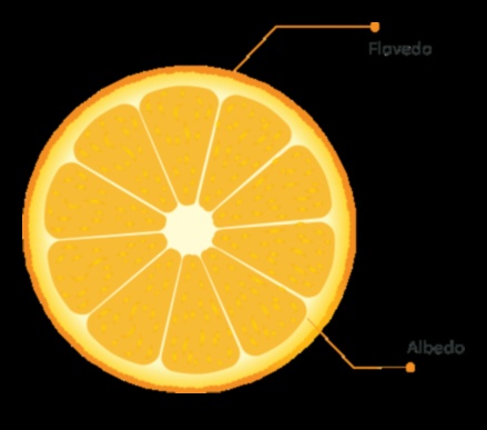 Citrus Magic Μια υγιής δόση βιταμινών, μετάλλων και αντιοξειδωτικών 3 Citrus Magic: Ξεκλειδώνοντας τα μυστικά της ευεξίας σε κάθε γουλιά χυμού καρότου-πορτοκαλιού