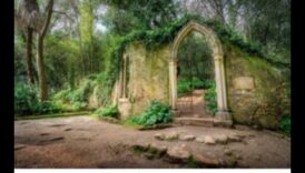 Γοτθικοί Κήποι: Θέματα της Φύσης σε Μεσαιωνική Καλλιτεχνική Έκφραση