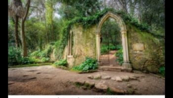 Γοτθικοί Κήποι: Θέματα της Φύσης σε Μεσαιωνική Καλλιτεχνική Έκφραση