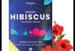 The Hibiscus Tea Experience: From Bloom to Blissful Sp