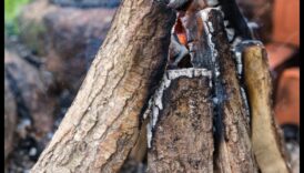 Ποιες είναι μερικές συμβουλές για τη διακόσμηση ενός εξωτερικού χώρου για πικνίκ με vintage πινελιές;