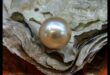 Understated Opulence: Pearls That Speak Volumes