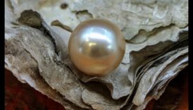 Understated Opulence: Pearls That Speak Volumes