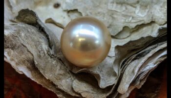 Understated Opulence: Pearls That Speak Volumes